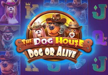 Игра The Dog House Dog Or Alive в казино АйсБет